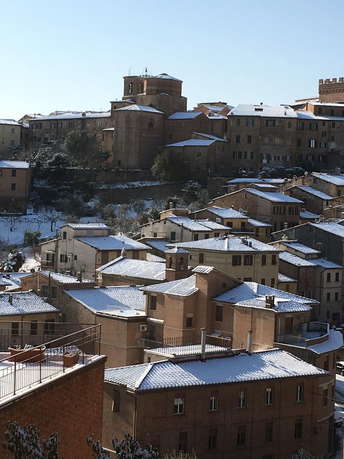 Le Lupe Siena